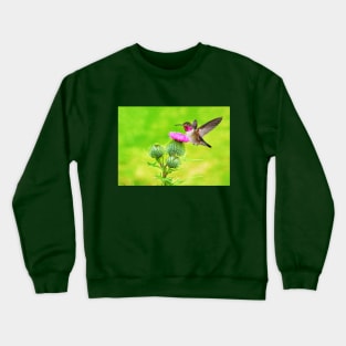 Ruby Throated Hummingbird and Thistle Crewneck Sweatshirt